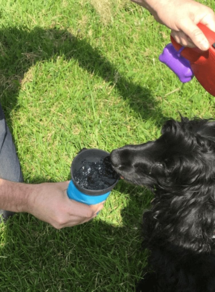 Image #1 from Dragan Velkovski