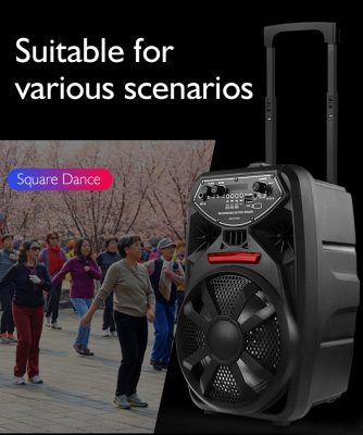 Sony karaoke zvucnik