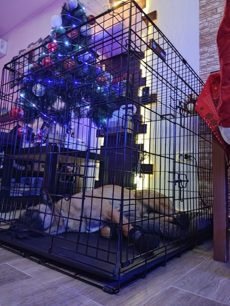 Image #1 from Дејан Јовановски