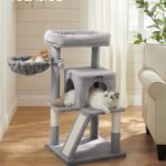 куќичка за мачиња