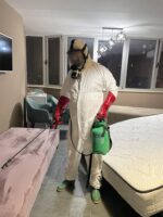 Dezinsekcija dezinfekcija deratizacija lebraki mravki stenici taftabiti gluvci crvi i sl super kvalitetno 076884703 - Image 3
