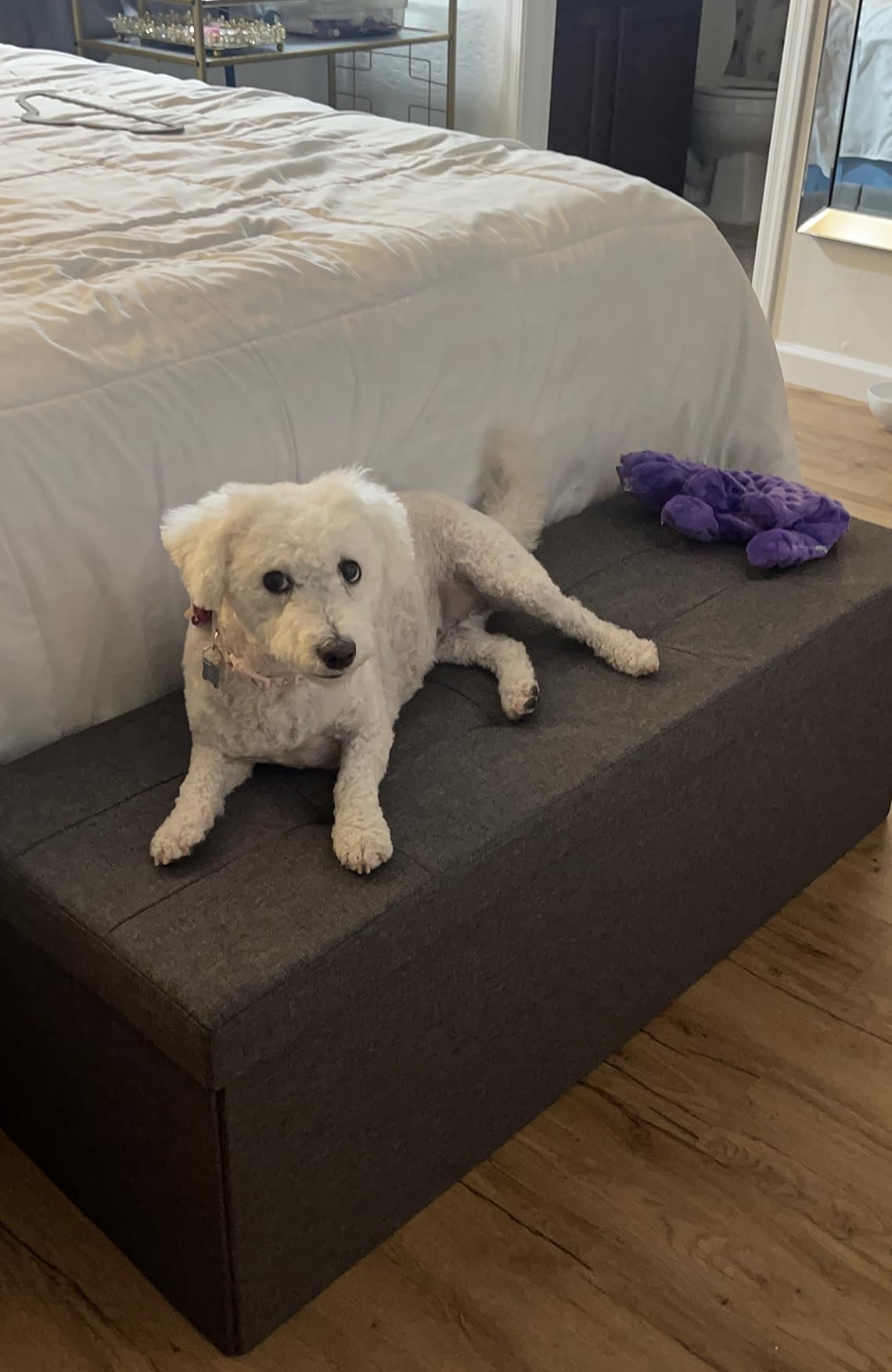 Голема табуретка за складирање SONGMICS LSF77KV1 photo review