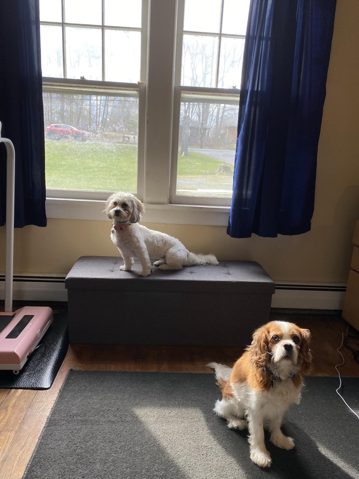 Голема табуретка за складирање SONGMICS LSF77KV1 photo review