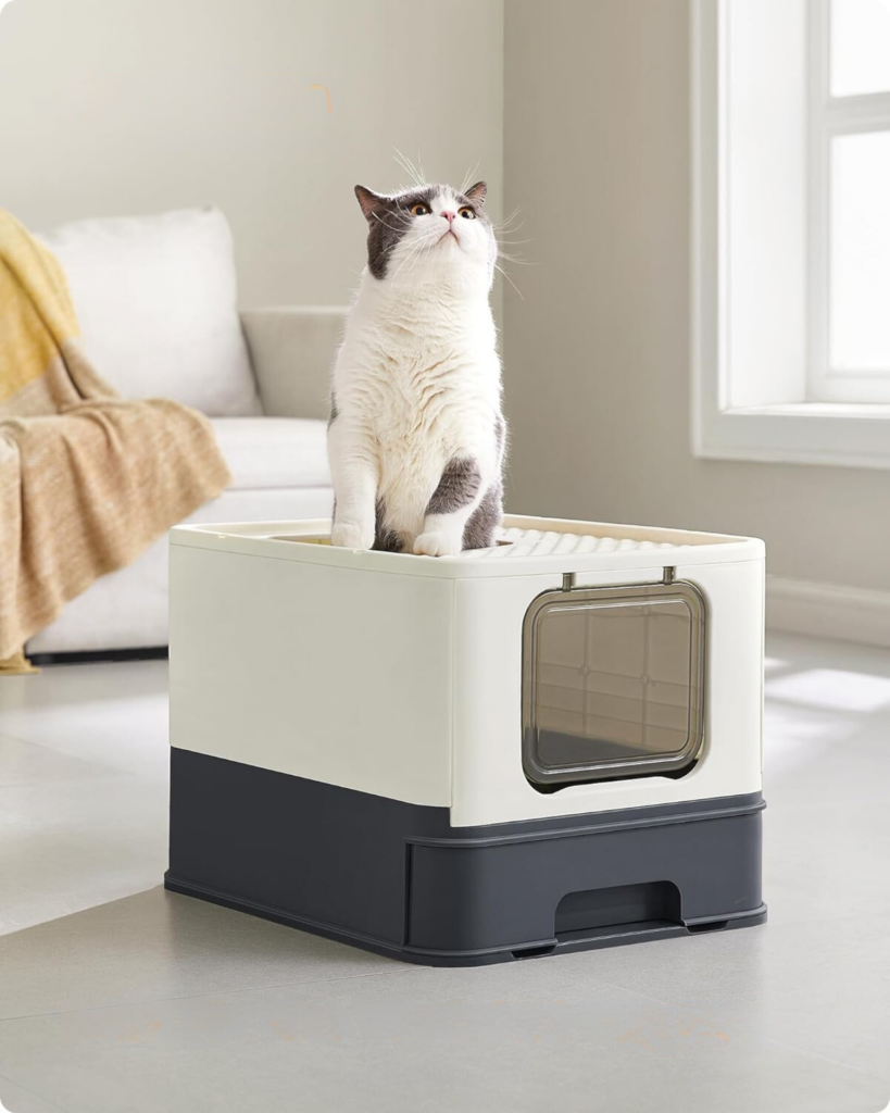 тоалет за мачиња