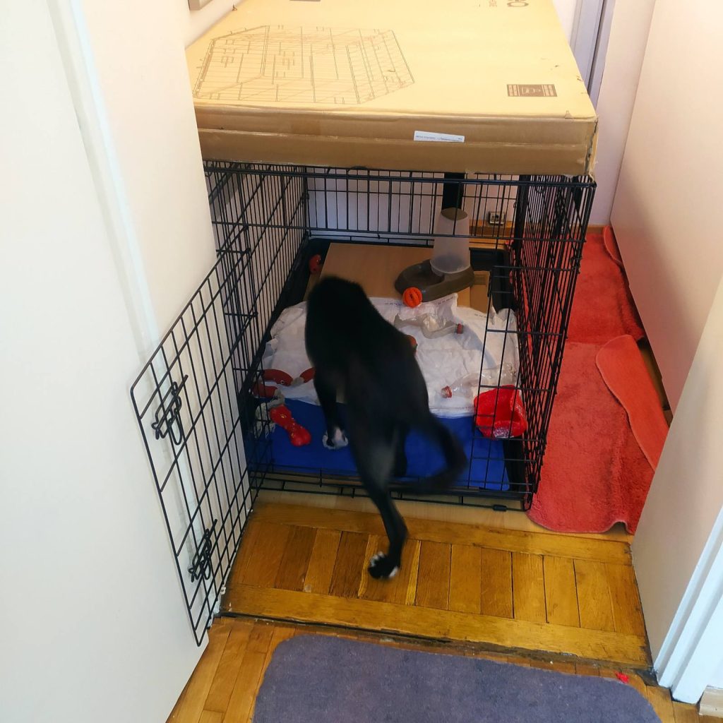 Image #1 from Tatjana Topuzova