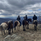 КК Horse Kalin Kamen – Понудата за јавање коњи низ Осоговските планини