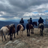 КК Horse Kalin Kamen – Понудата за јавање коњи низ Осоговските планини