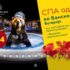 Специјална понуда: Hotel WIP – Попусти до 15%!